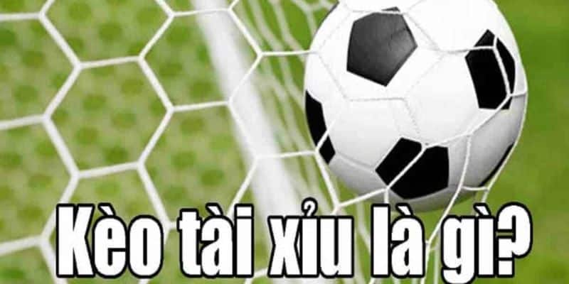 Chơi kèo tài xỉu theo cách nhồi tài rất đáng thử nghiệm