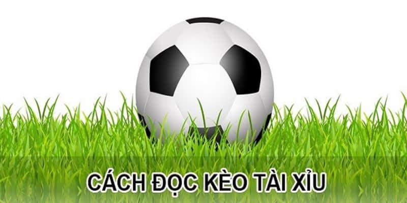 Kèo tài xỉu có cách tính tiền thưởng minh bạch, rõ ràng