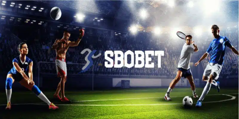Mẹo tham gia sảnh cược SBOBET cho thành viên mới